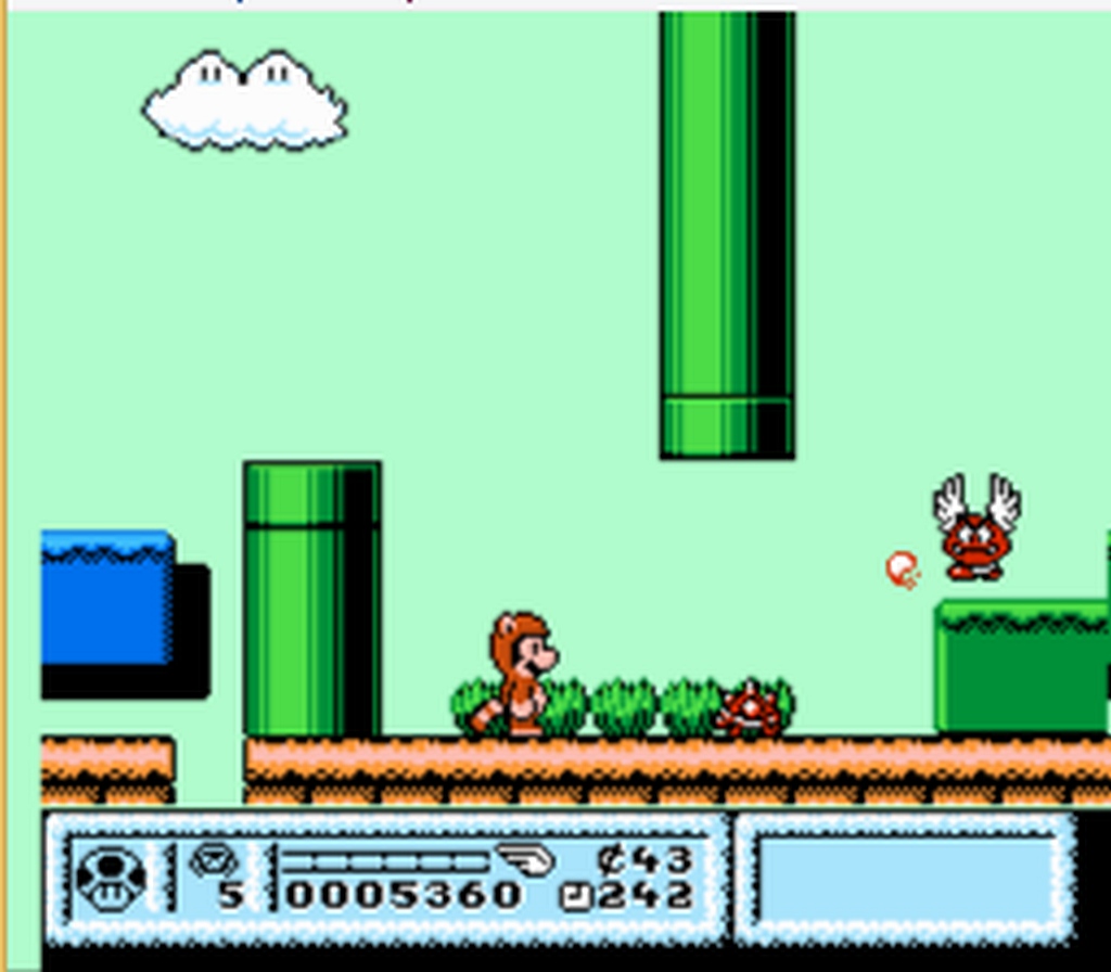 Gameplay from Super Mario Ultimate — Tanooki Mario in a reworked level