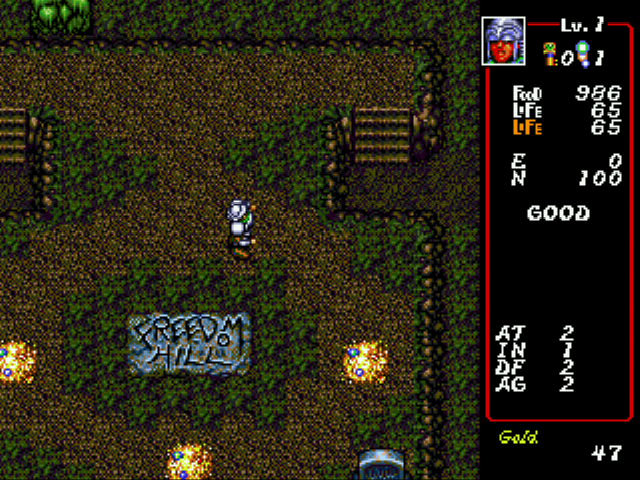 Dungeon Explorer screenshot