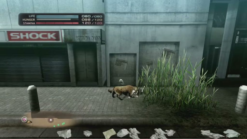 Tokyo Jungle on PS3: a small predator hunting through the overgrown streets of Shibuya